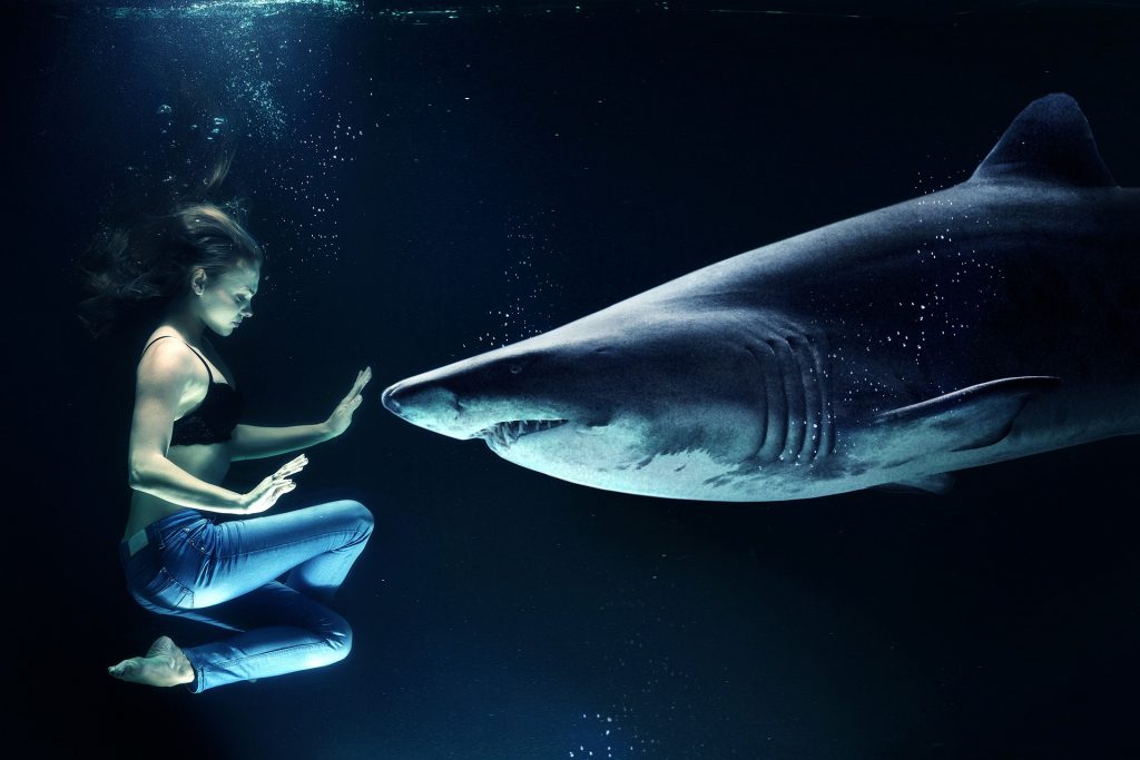 Under-Water-Troubled-times-Difficult-breathing-shark-the-beauty-of-now-